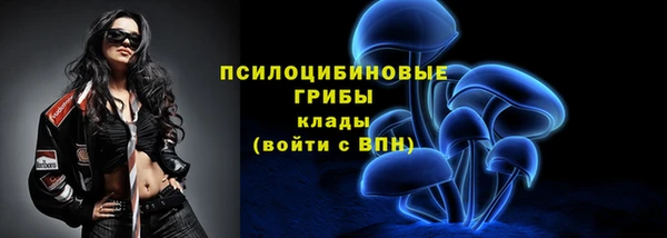 спиды Карпинск