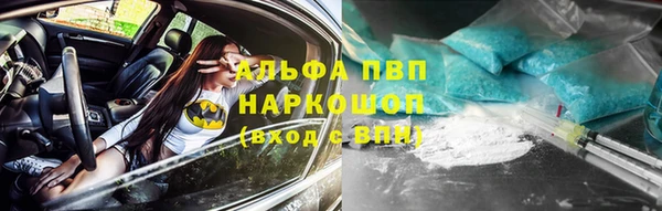 тгк Касимов