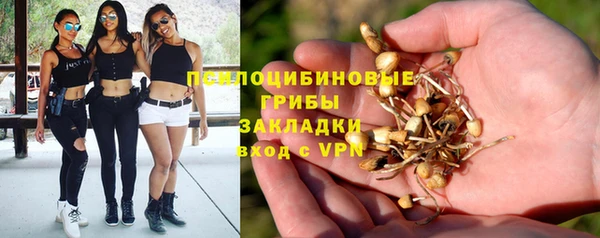 спиды Карпинск