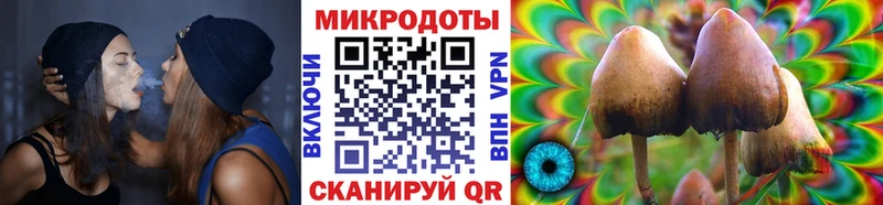 Галлюциногенные грибы Cubensis Купить Учалы